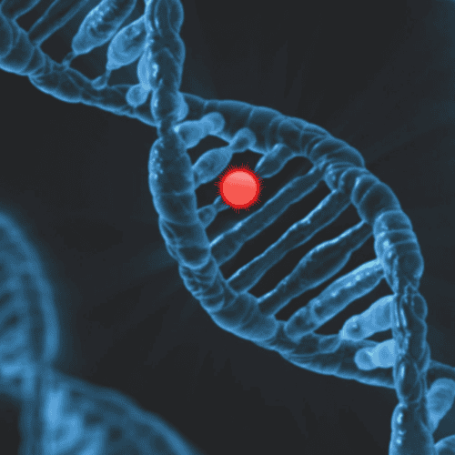 Cyprus IVF Success Rates: How Preimplantation Genetic Testing (PGT) and NGS Boost Fertility Outcomes